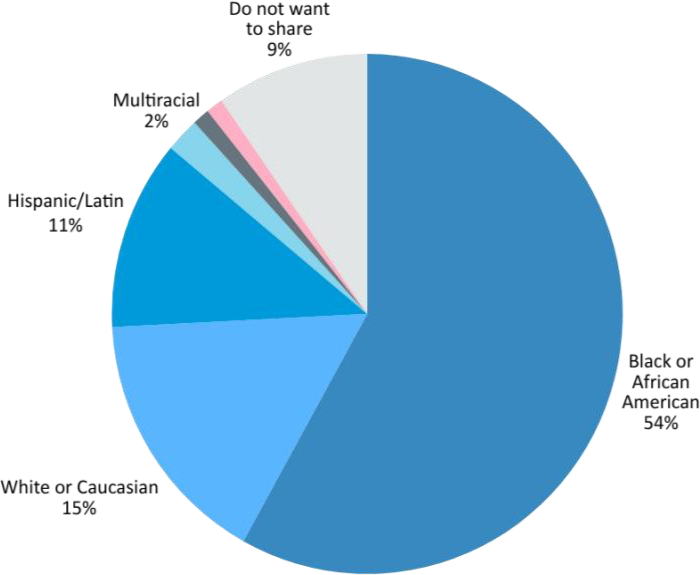 Figure 1. Race and Ethnicity