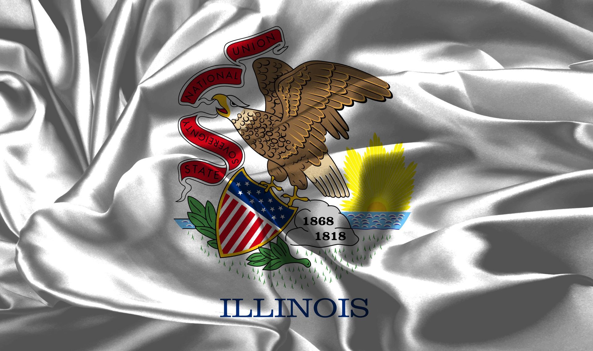 Illinois state flag: White background with emblem of a bald eagle holding a banner and shield.