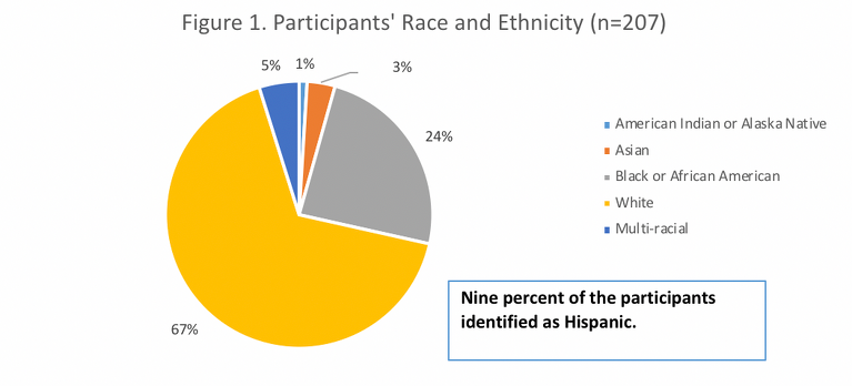 A pie chart showing the race and ethnicity of participants A pie chart showing the race and ethnicity of participants