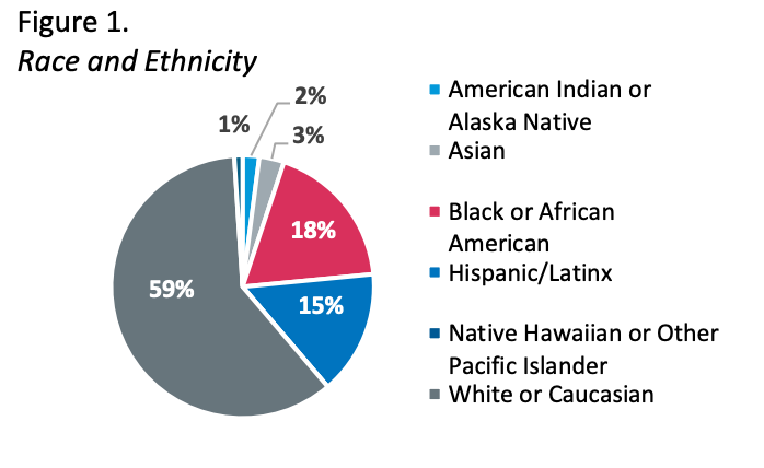 Pie chart titled “Race and Ethnicity” with largest gray slice labeled 59% and smaller blue, red, and white slices.