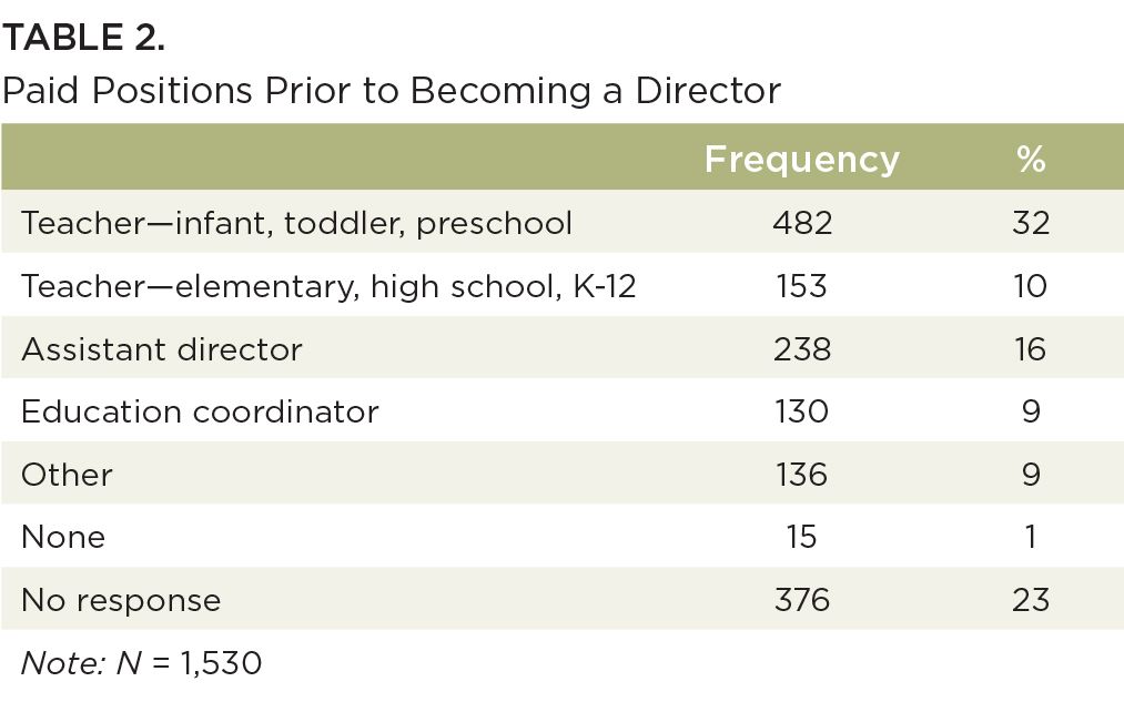 A table showing paid positions prior to becoming a director