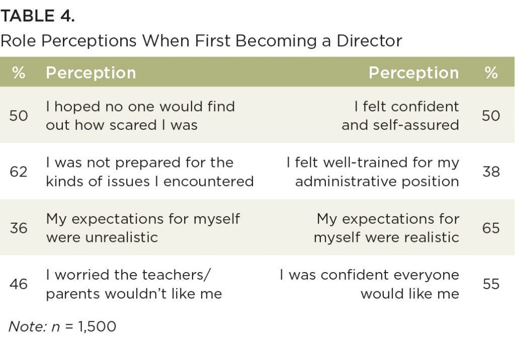 A table showing role perceptions when first becoming a director
