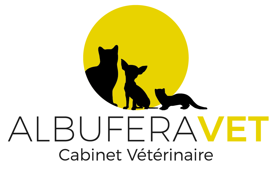 Cabinet Vétérinaire - Vernon