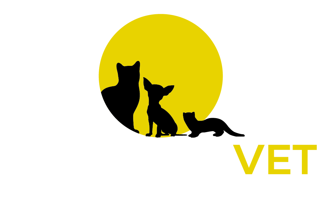 Cabinet Vétérinaire - Vernon