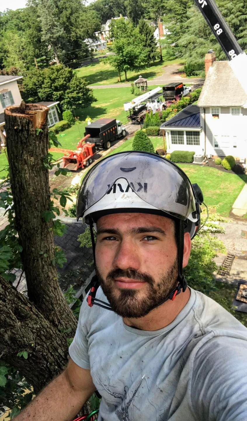 Arborist in a helmet looking at the camera. Working to remove a tree branch. Other equipment and houses in the background.