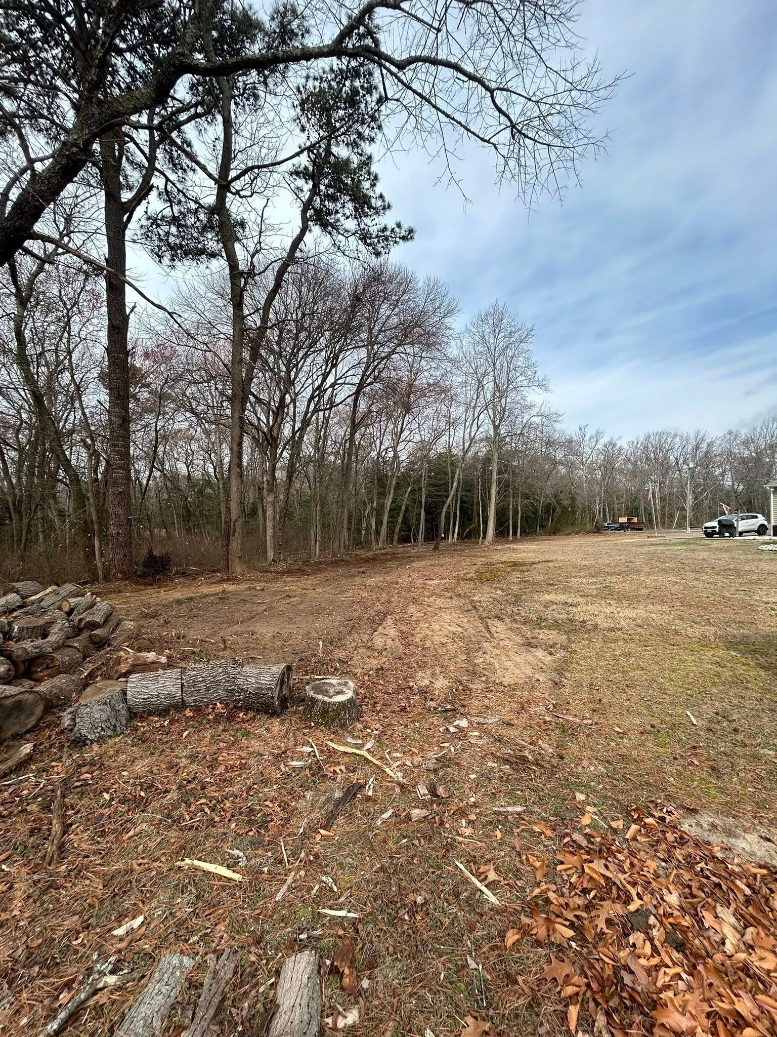 Field with fallen leaves, trees, and cloudy sky.