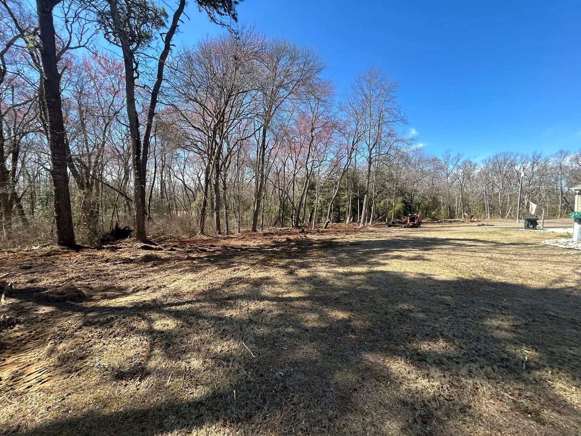 Brown grassy area with trees in the background under a bright blue sky.
