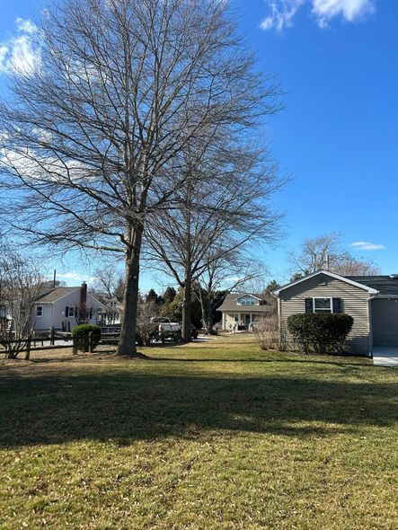 Bare trees stand in front of houses on a sunny day with a blue sky.