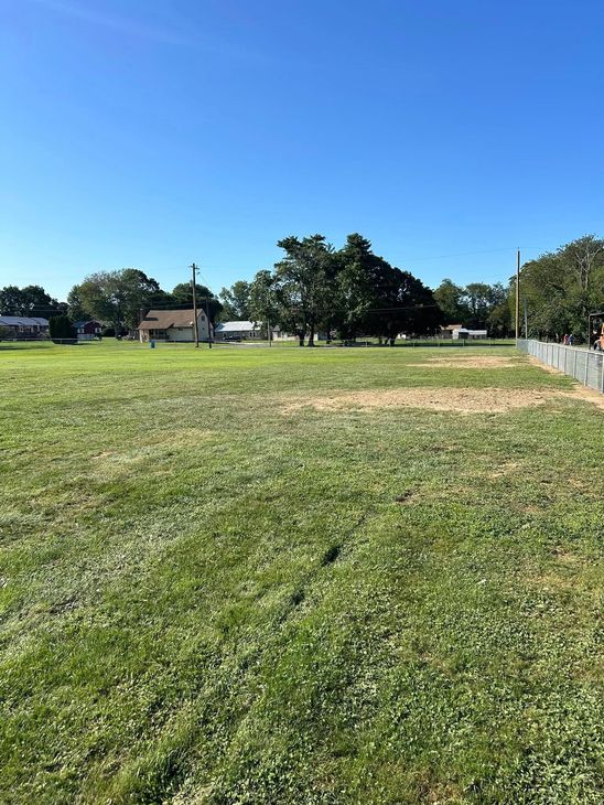 Grassy field under a clear blue sky with some trees and small buildings in the background.