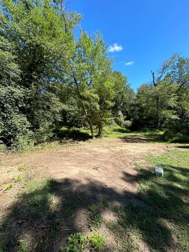 Clearing in the woods, brown dirt in the foreground, green trees and blue sky.