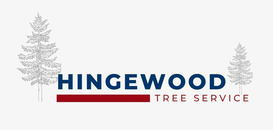 Logo for Hingewood Tree Service, navy text with a red bar, and sketches of trees.