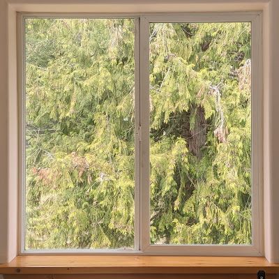 A window with a view of trees outside of it
