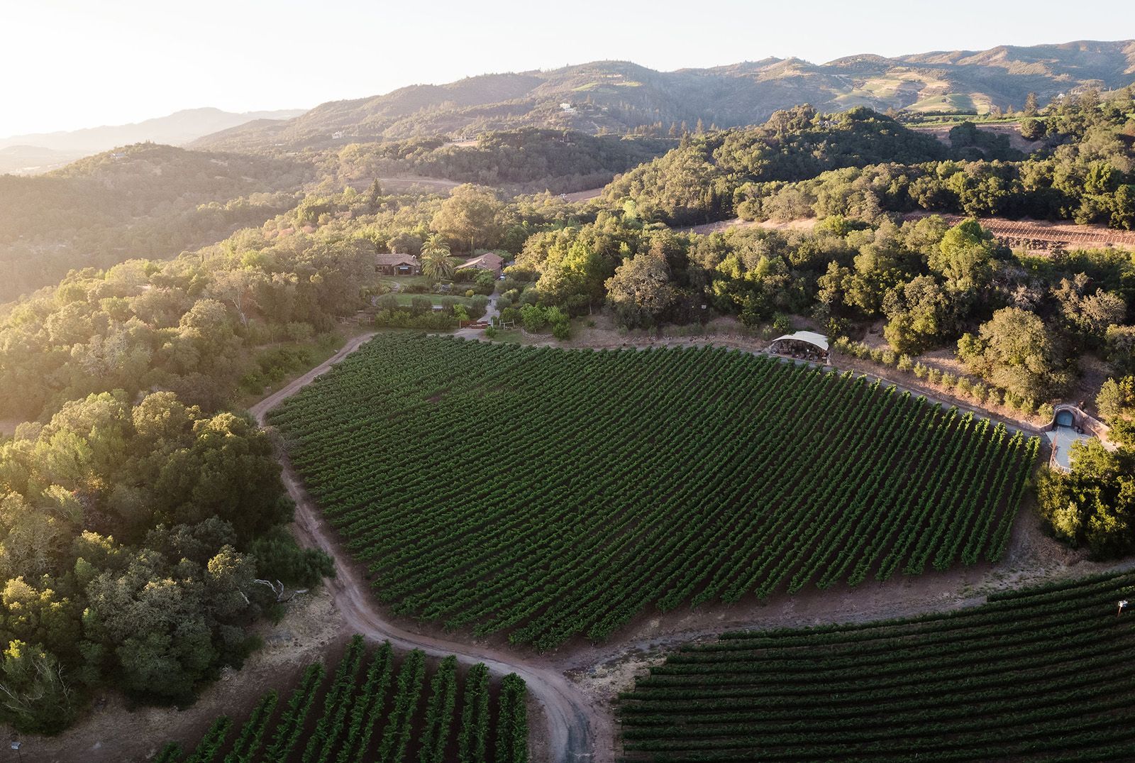 Slide 10