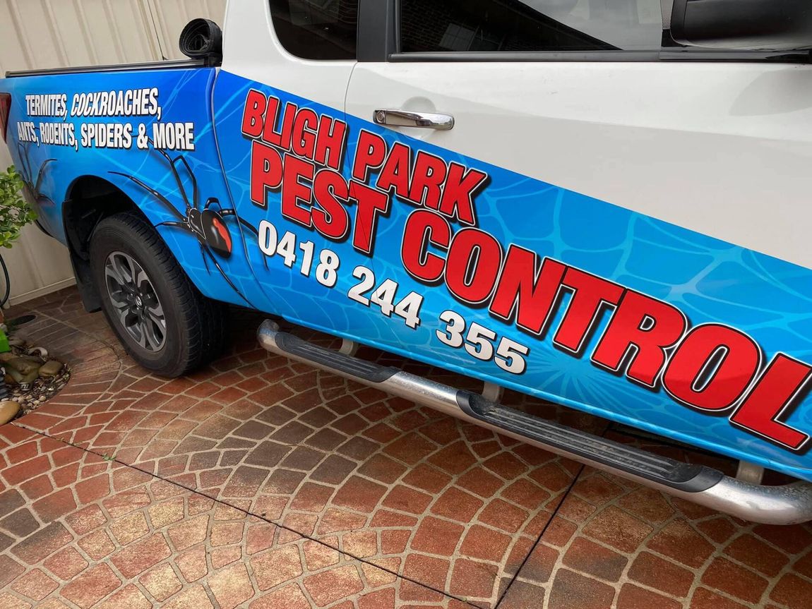 Pest Control Car — South Windsor, NSW — Bligh Park Pest Control