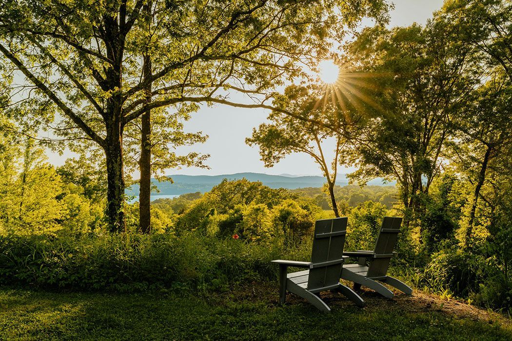 A couple of chairs sitting in the middle of a forest with the sun shining through the trees.