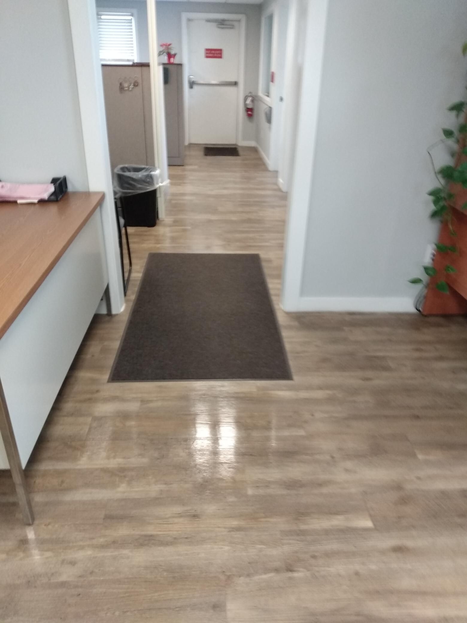 Steam Cleaning The Office Carpet — Central Falls, RI — Fogo Janitorial