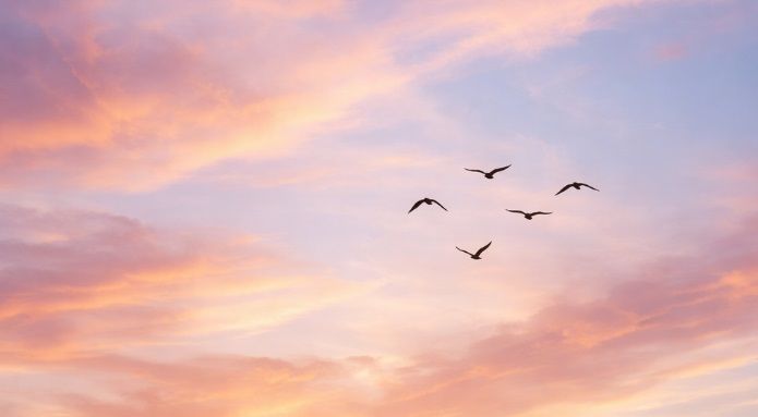 cremation services Santa Rosa, CA