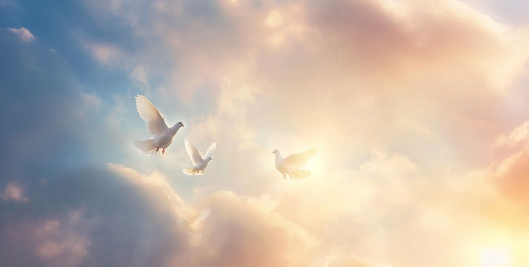 cremation services in Santa Rosa, CA