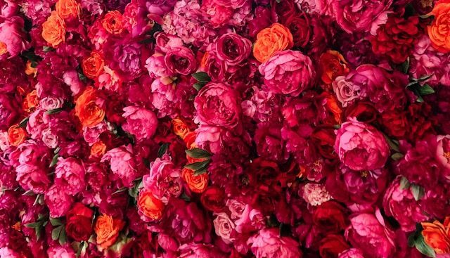 funeral homes Novato, CA