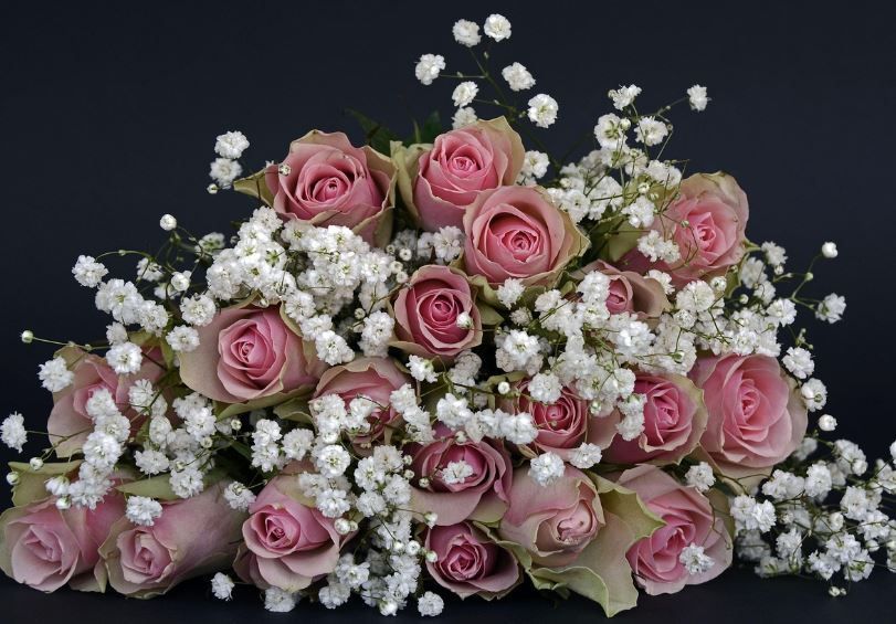 funeral homes Petaluma, CA