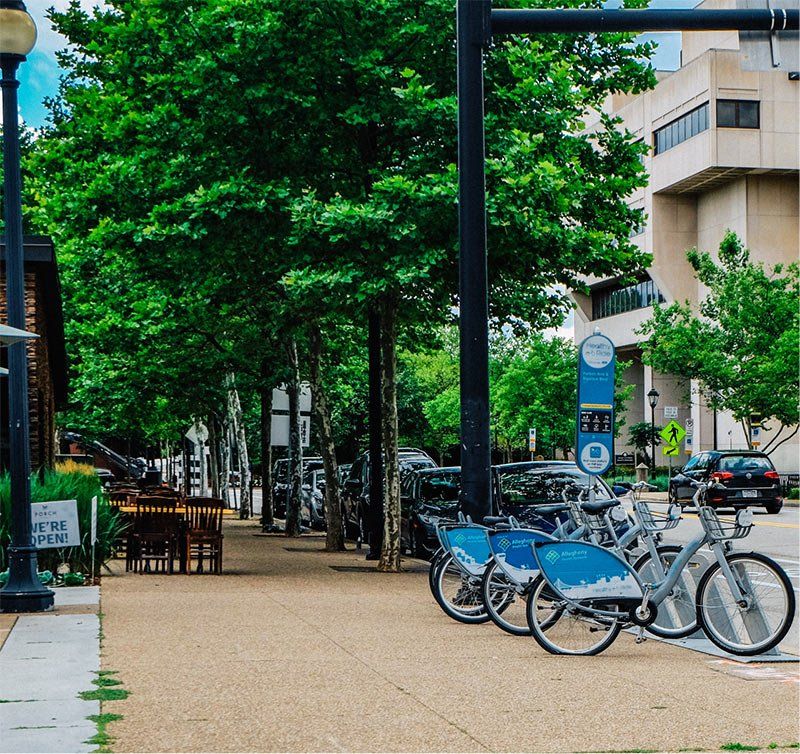 Pittsburgh Apartments in Shadyside Sterling Land Company
