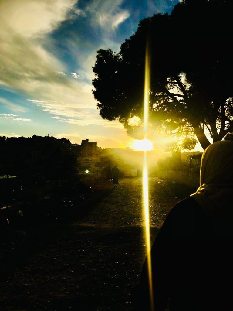 A person standing in front of a sunset with a tree in the foreground