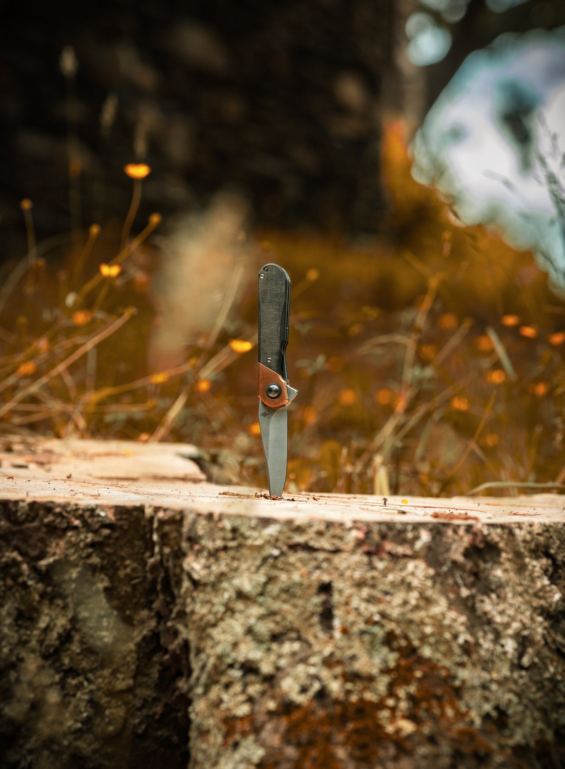 Kizer Comet placed in stump