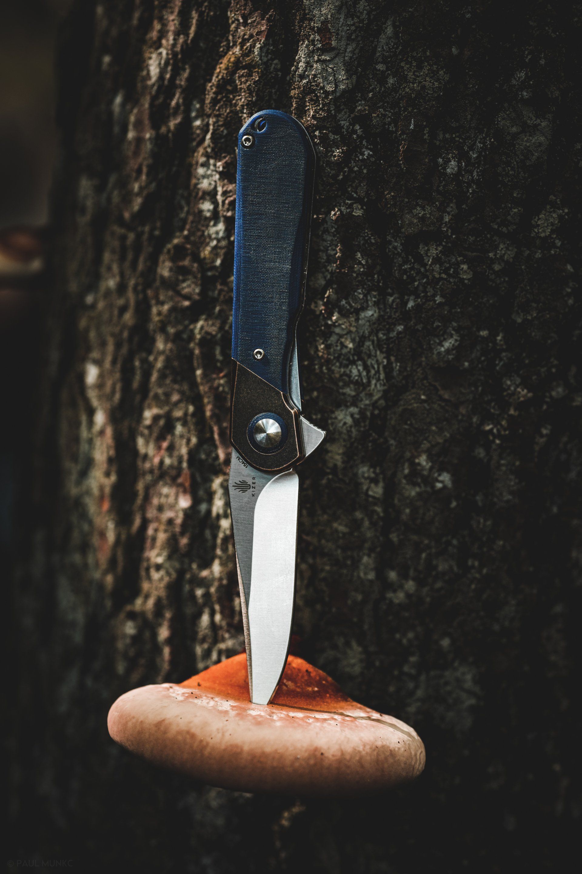 Kizer Comet on mushroom