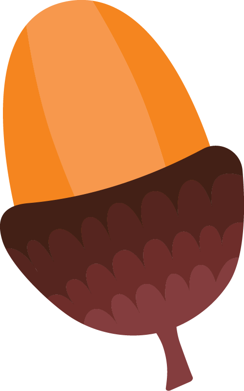 Acorn