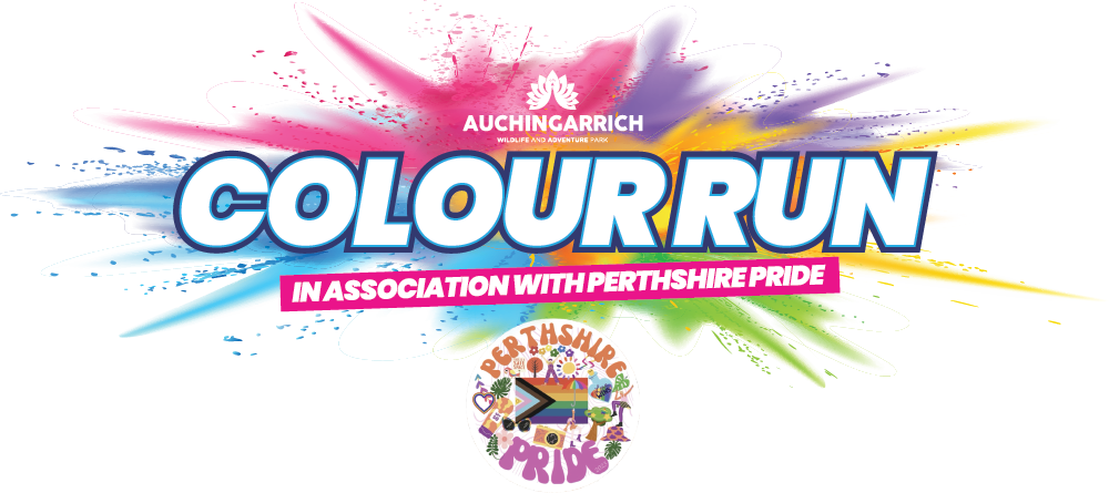 colour run at auchingarrich wildlife park