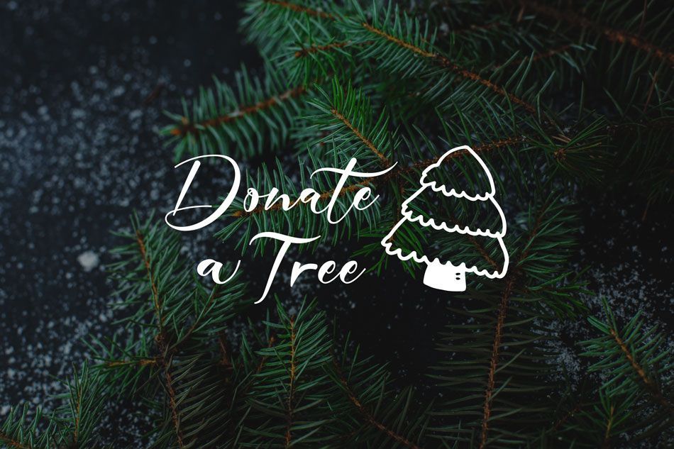 Donate Your Tree