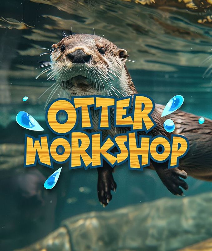 Otter underwater with bold “Otter Workshop” text and water splashes in a teal aquatic scene