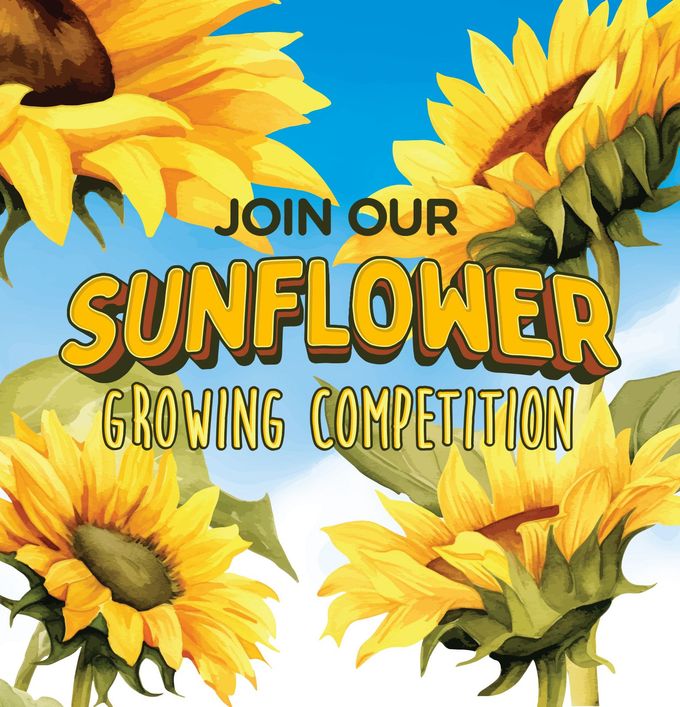 Sunflower Growing Competition poster with bright yellow sunflowers on a blue sky background