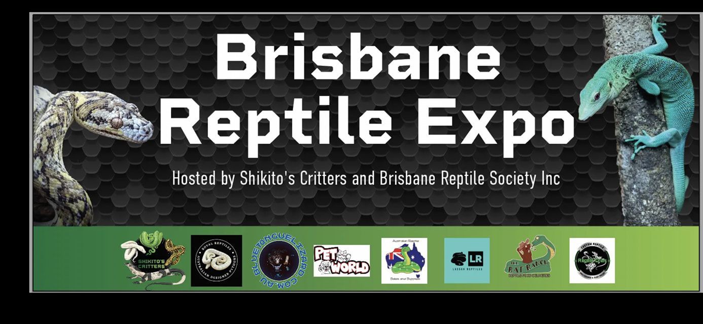Brisbane Reptile Expo 2023