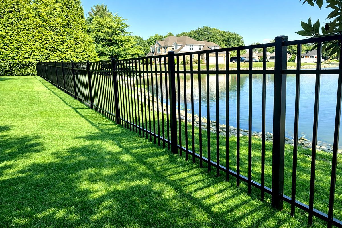 Black metal fence along a grassy lakeside path on a sunny day