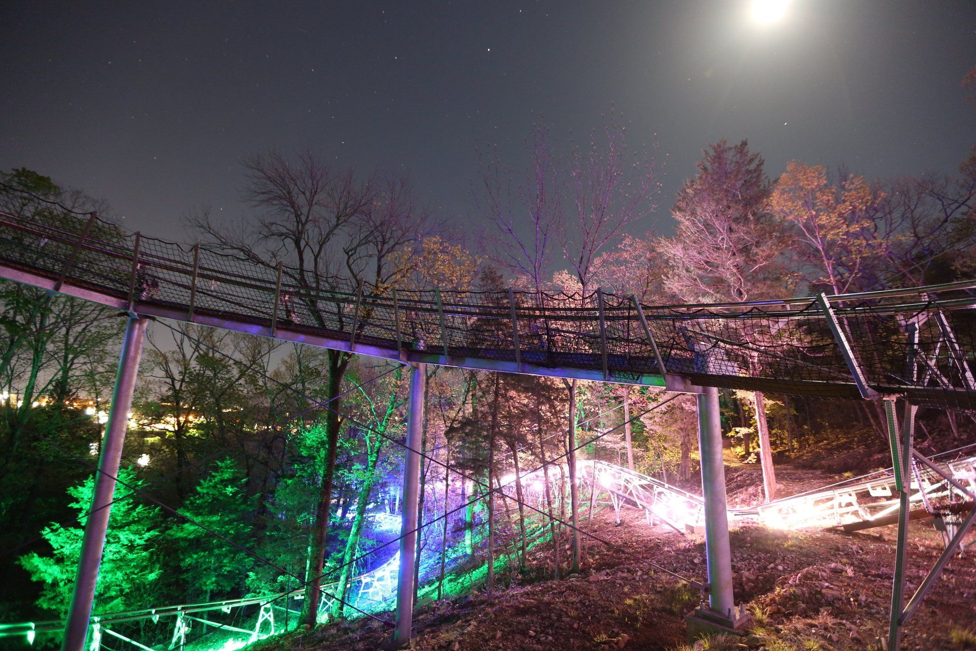 Nighttime coaster track illuminated with colorful LED lights and trees