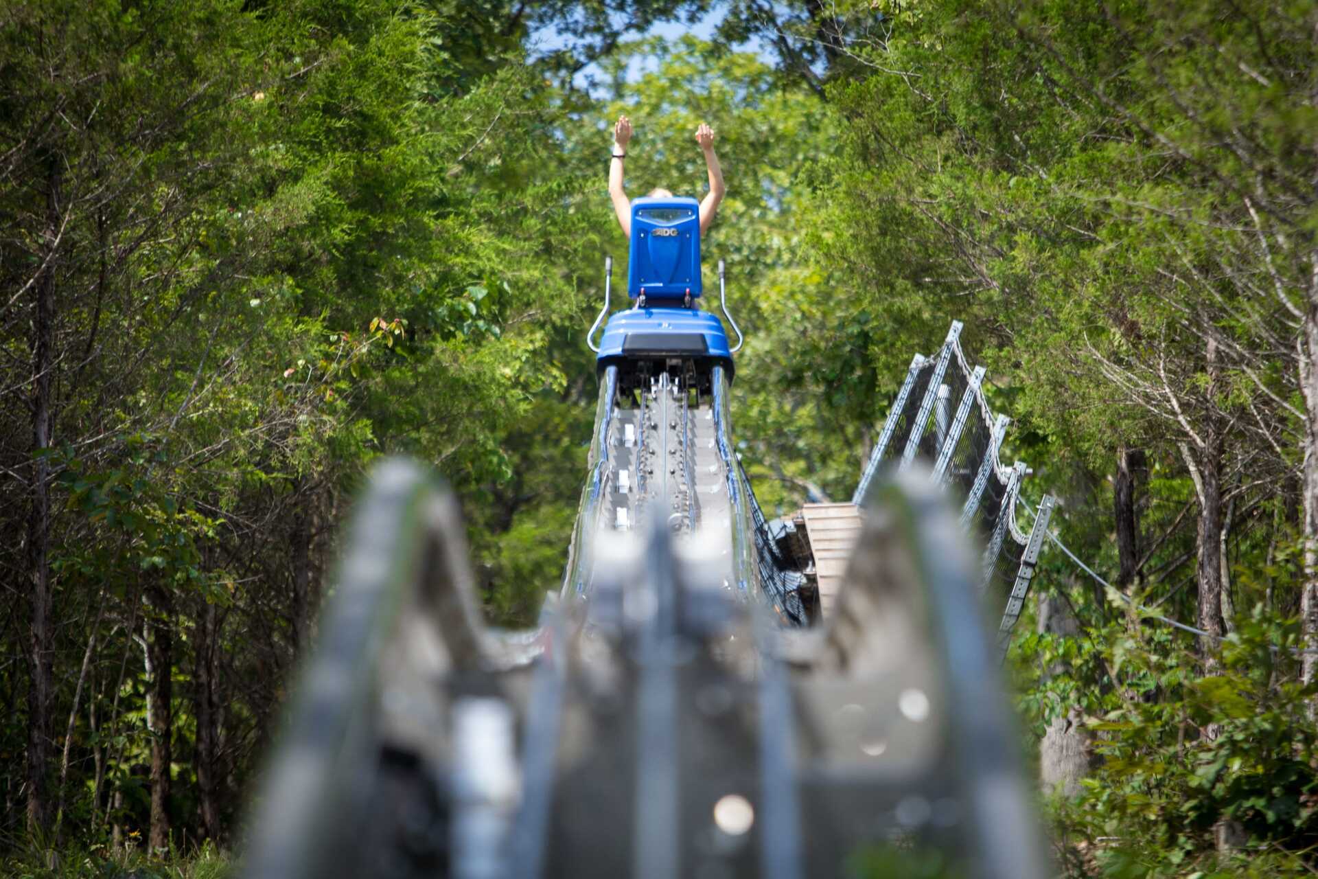 Prepare for National Roller Coaster Day