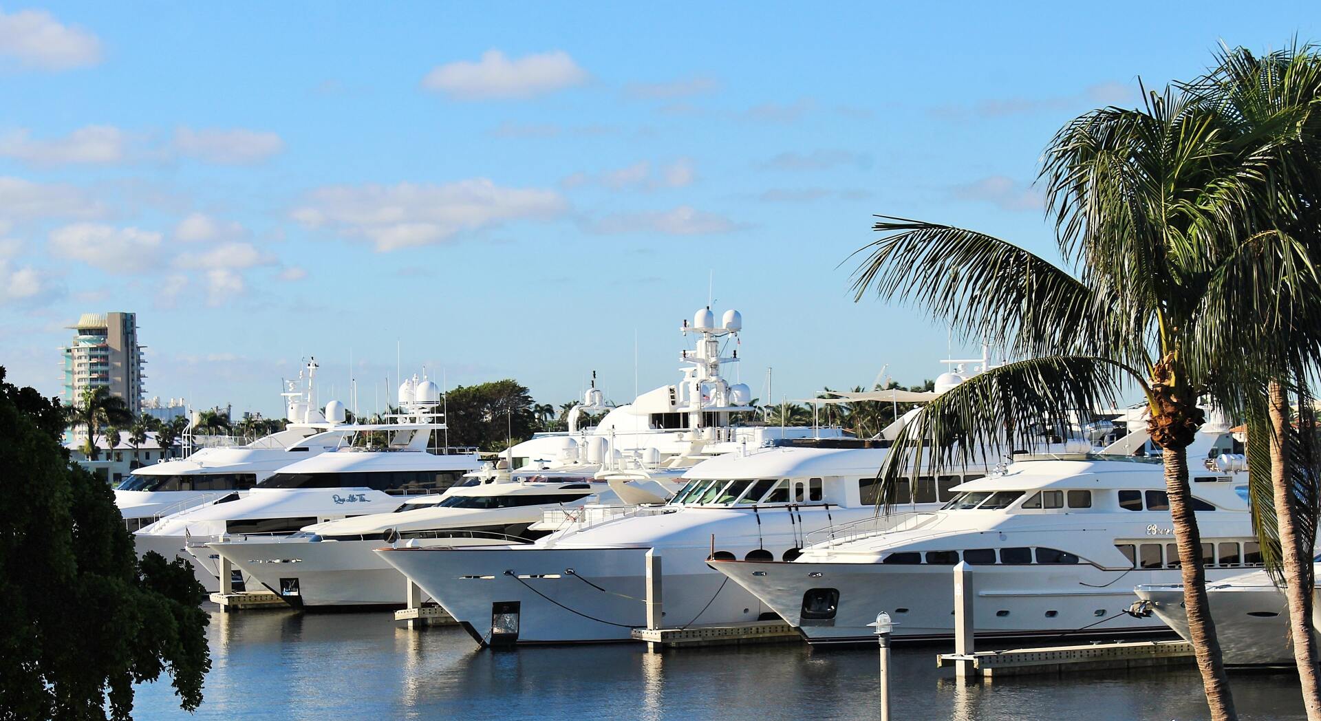Multiple white yachts lined up at a palm-lined dock in a sunny marina