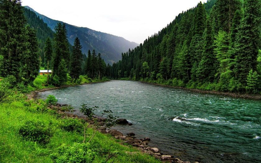 A wide river surrounded by pines