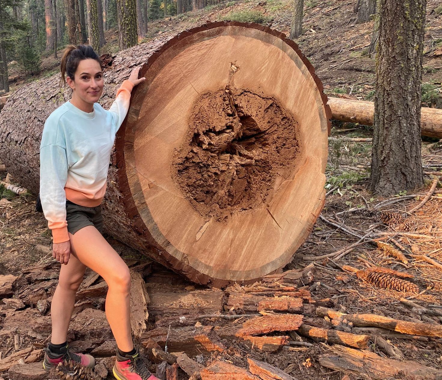 Image of woman standing next to large cross section of a tree with rotted core