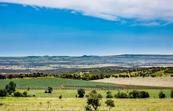 Modern farming, Queensland
