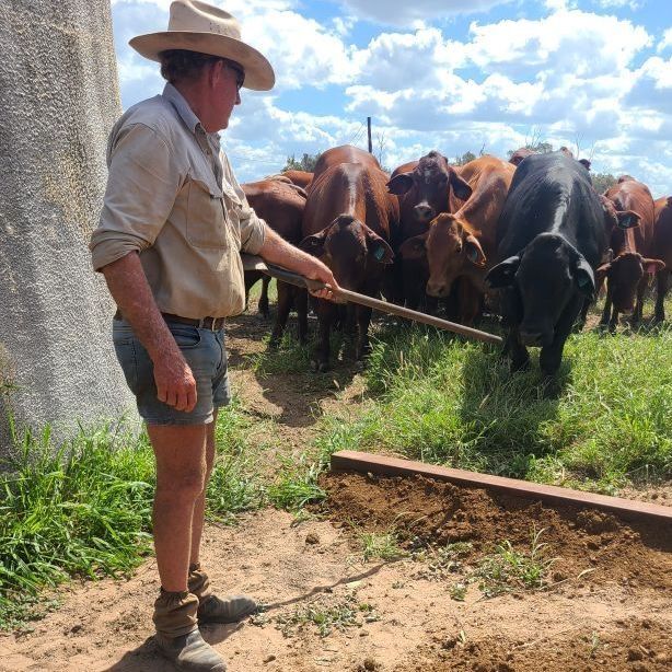 Grazier bore water Image