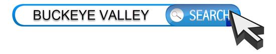 A search bar for buckeye valley with a mouse pointer