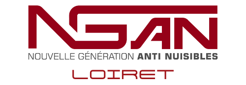 logo ngan