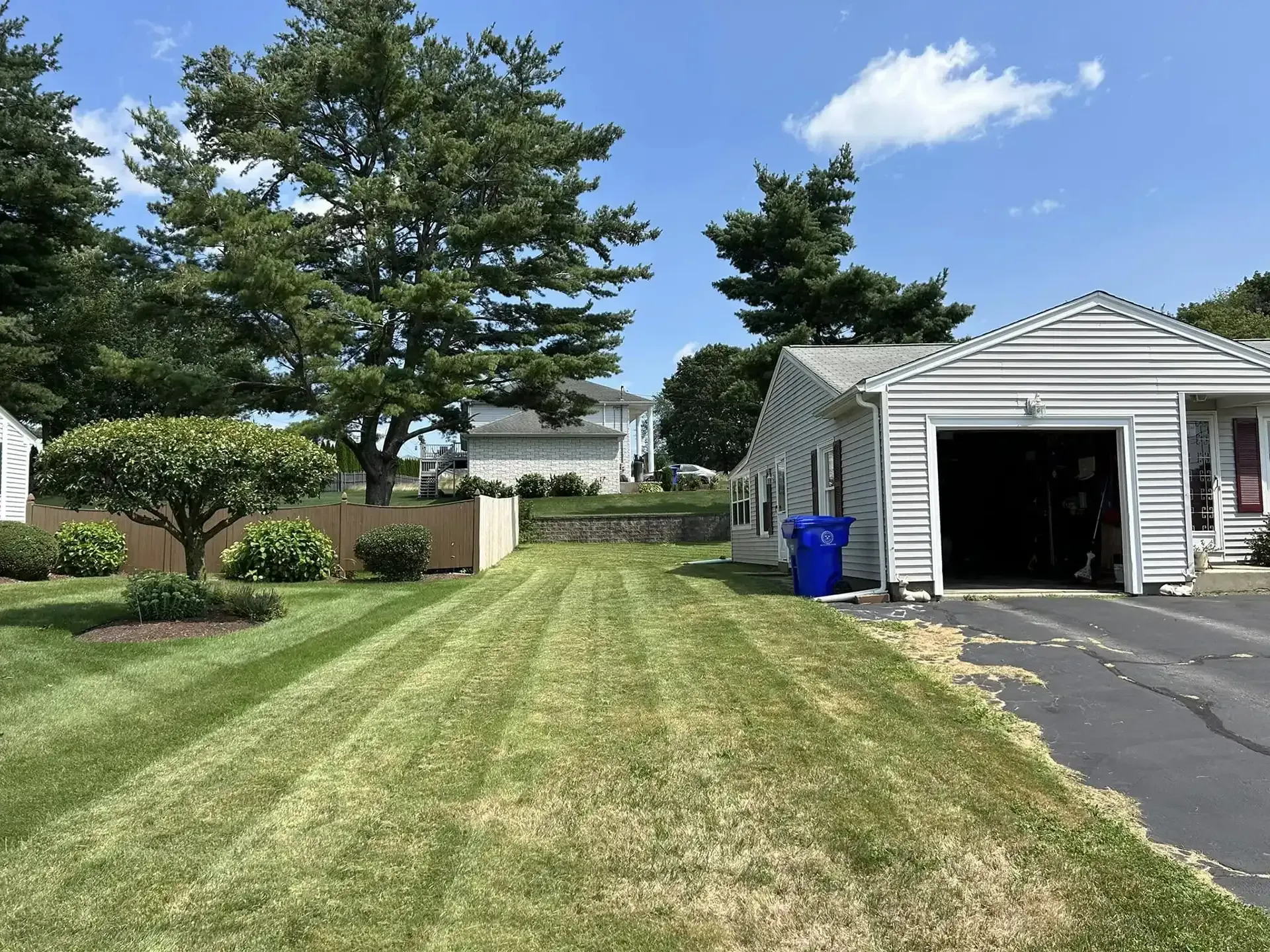 A residential yard with freshly mowed grass, a small tree, a blue trash bin, and an open attached garage on a sunny day.