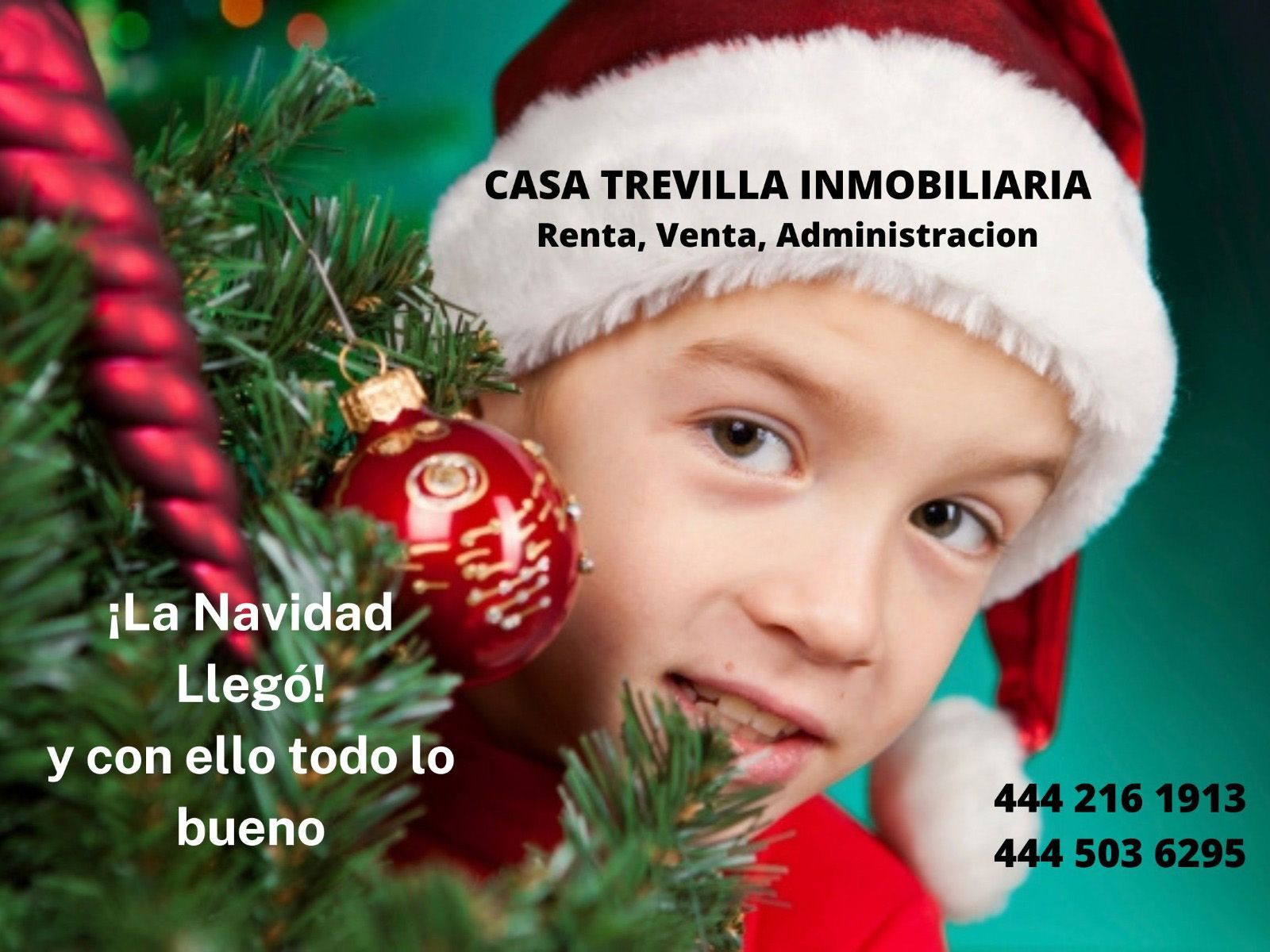 CASA TREVILLA INMOBILIARIA