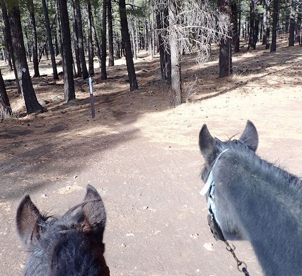 The Country Club Trail