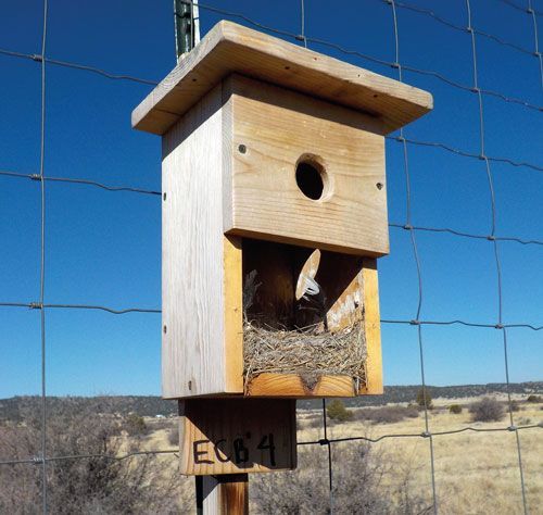 When it comes to artificial nesting boxes, there are many parameters to consider...