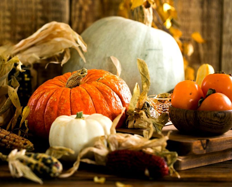 Thanksgiving is a time for gratitude