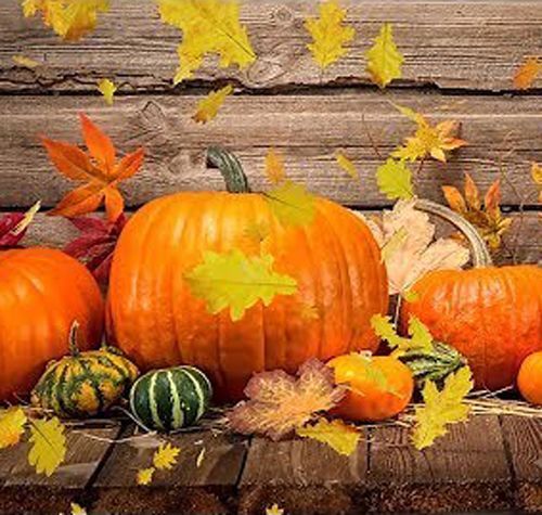 Autumn brings not just our foliage changing colors, but celebration!